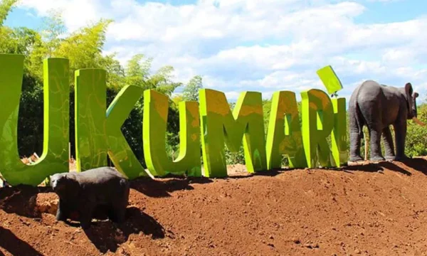 Ukumari + Termales de Santa Rosa